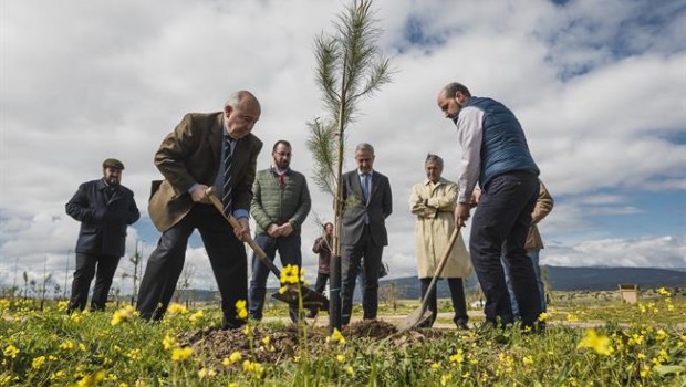 ep plantacionbosque sigauscolmenar viejo