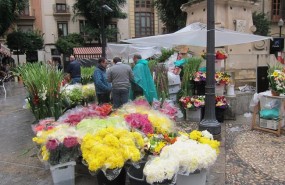 ep plazalas flores diatodossantos ramos ramillete rosas margarita