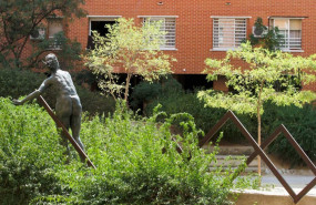 palomeras bajas palomeras bajas