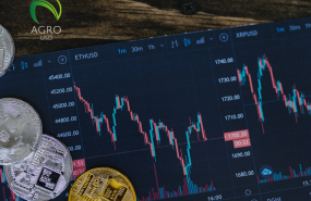 003 agrousd se presenta como una nueva plataforma de pagos digitales basada en blockchain 003 agrousd se presenta como una nueva plataforma de pagos digitales basada en blockchain