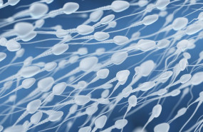 1603702591 new project1 1603702591 new project1