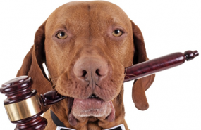 1607606704 imagen3 1607606704 imagen3