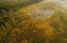 andrius aleksandraviius epkeliai andrius aleksandraviius epkeliai