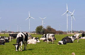 ep archivo   la aee considera que la propuesta del mercado electrico de la comision europea va en el