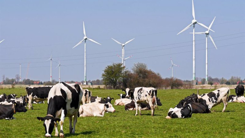 ep archivo la aee considera que la propuesta del mercado electrico de la comision europea va en el ep archivo la aee considera que la propuesta del mercado electrico de la comision europea va en el
