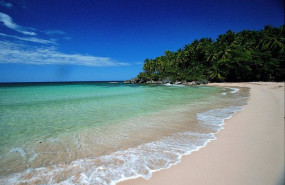 ep archivo   playa en punta cana republica dominicana