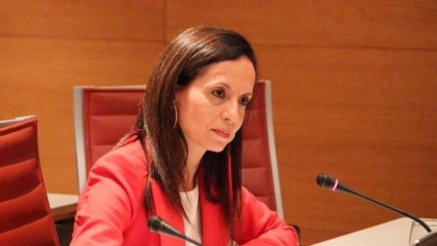 ep beatriz corredor exministra viviendapsoe