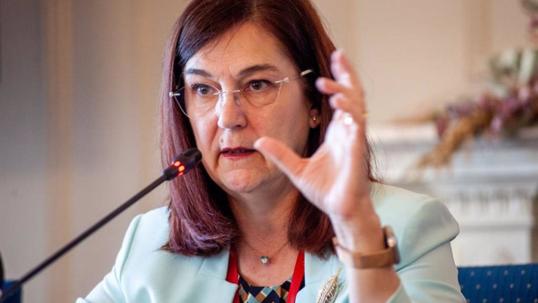 Cani Hernández, presidenta de la CNMC, durante su intervención en el curso de verano organizado por la APIE en la UIMP de Santander. | APIE ep cani hernandez presidenta de la cnmc durante su intervencion en el curso de verano organizado por