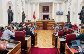 ep el pleno de la camara foral de alava