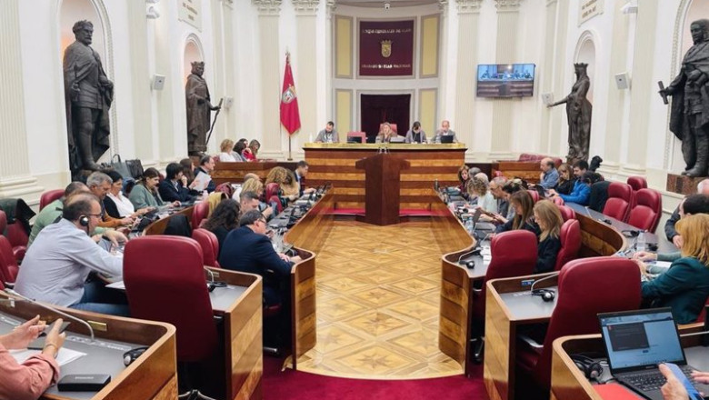 ep el pleno de la camara foral de alava ep el pleno de la camara foral de alava