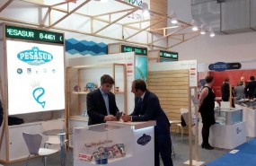 ep feria sea foodbelgica
