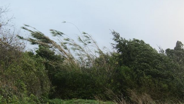 ep fuertes rachas viento