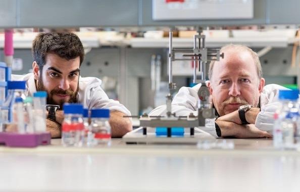 La-oxidacion-es-necesaria-para-la-recuperacion-tras-una-lesion-medular_ | IBEC/SINC ep la-oxidacion-es-necesaria-para-la-recuperacion-tras-una-lesion-medular