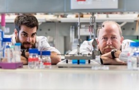 ep la-oxidacion-es-necesaria-para-la-recuperacion-tras-una-lesion-medular