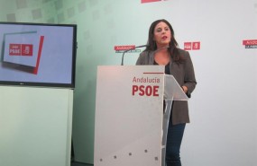 ep la secretariaformacionnuevos afiliadospsoe-a angeles ferriz