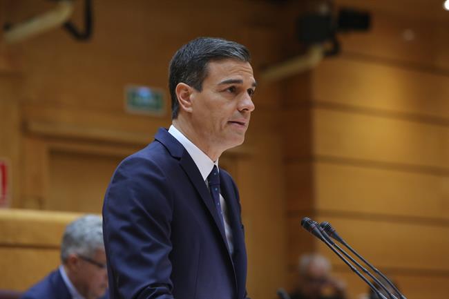 Pedro Sánchez comparece en el pleno del Senado | Ricardo Rubio - Europa Press ep pedro sanchez compareceplenosenadoinformarlas lineas ge