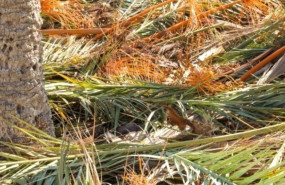 foto 2 20230907193616 foto 2 20230907193616