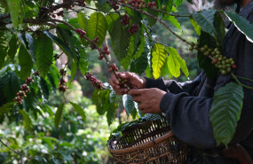 fotos descargar linkedin 2 fotos descargar linkedin 2