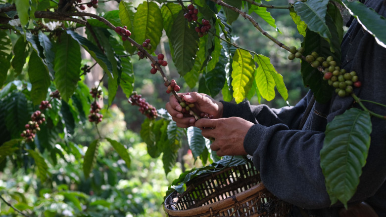 fotos descargar linkedin 2 