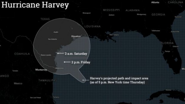 harvey0cb4588