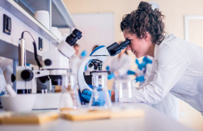 1571925260 lab search 1571925260 lab search