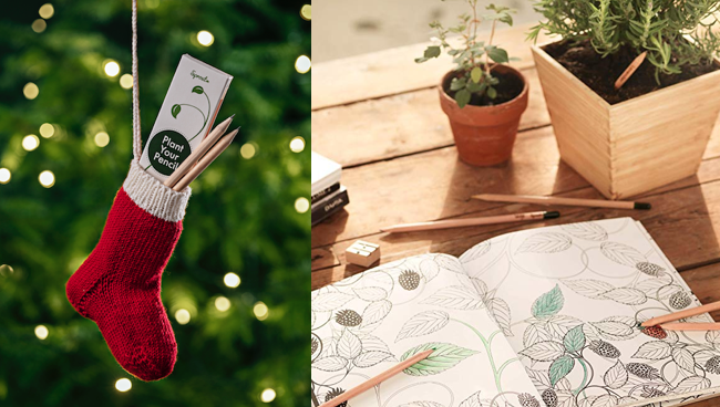 1577090063 captura de pantalla 2019 12 23 a las 93402