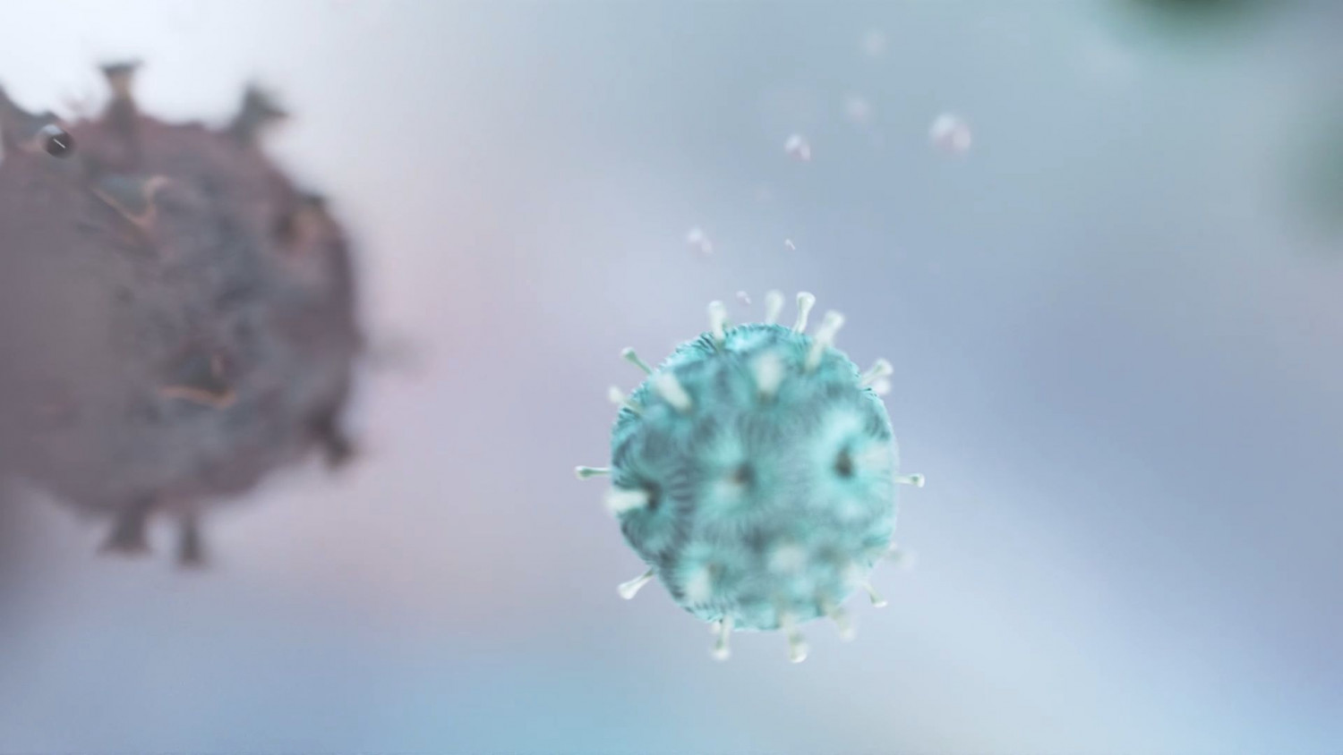 Descubren que el Covid aumenta el riesgo de coágulos y trombosis venosa profunda