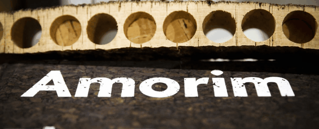 amorimcb11
