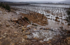 ep archivo   campos de vinedos anegados por el agua