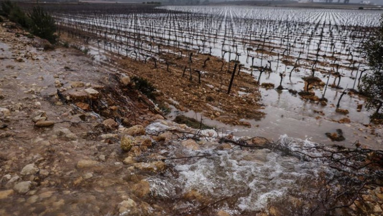 Archivo - Campos de viñedos anegados por el agua | Rober Solsona - Europa Press - Archivo ep archivo campos de vinedos anegados por el agua