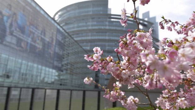ep archivo   sede del parlamento europeo en estrasburgo