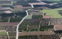ep campos huertas minifundios huertos agricultura arboles explotacion agraria ep campos huertas minifundios huertos agricultura arboles explotacion agraria