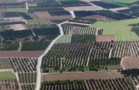 ep campos huertas minifundios huertos agricultura arboles explotacion agraria