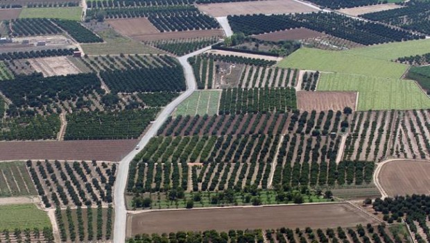 ep campos huertas minifundios huertos agricultura arboles explotacion agraria