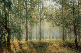 ep hispasat comercializara junto a pyro un sistema de deteccion temprana de incendios en bosque por