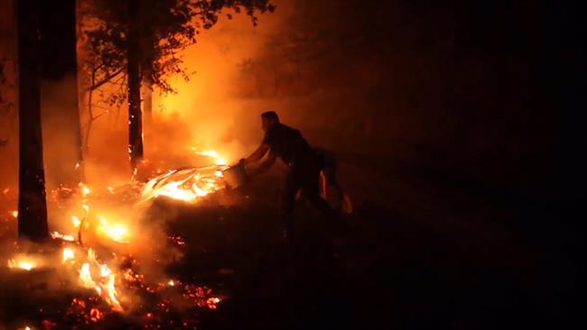 Investigan "planificación coordinada" en incendios de Galicia | EUROPAPRESS ep investigan planificacion coordinada en incendiosgalicia