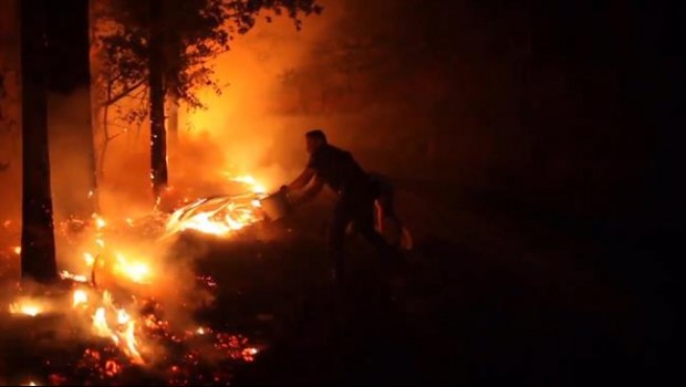 ep investigan planificacion coordinada en incendiosgalicia