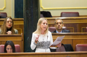 ep la diputada de vox maria teresa lopez alvarez durante la sesion de control al gobiero en el