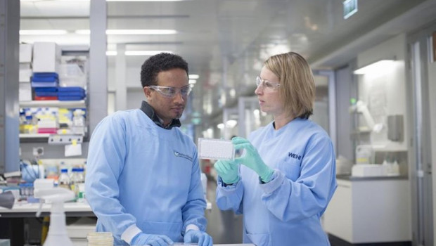 Covid 19 Antibody Test With Almost 100 Accuracy Could Be Available In Weeks Sharecast Com