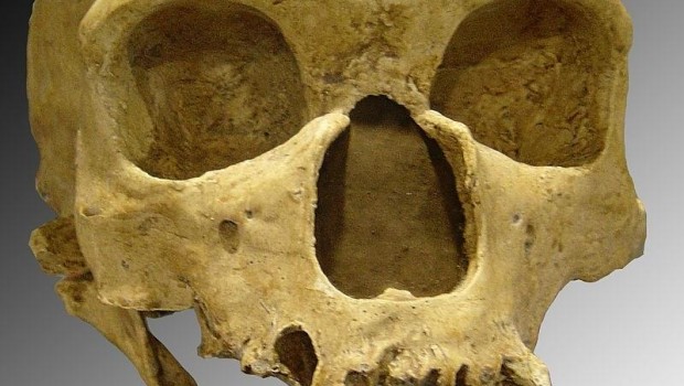 ep neandertalla chapelle-aux-saints