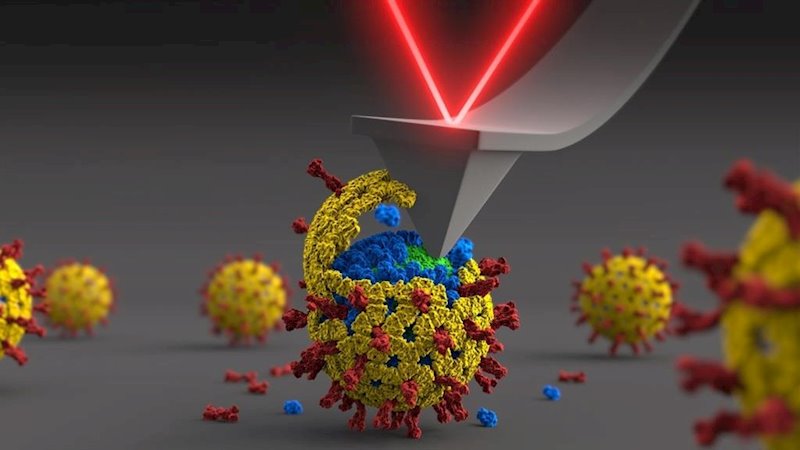 ep rotavirus
