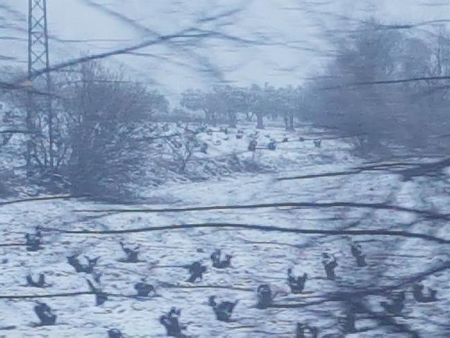 Temporal de nieve. | EUROPA PRESS ep temporalnieve