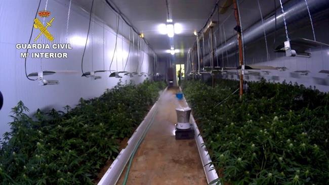 Uno de los habitaculos con las plantas en floración | EUROPA PRESS/GC ep unolos habitaculoslas plantasfloracion
