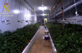ep unolos habitaculoslas plantasfloracion