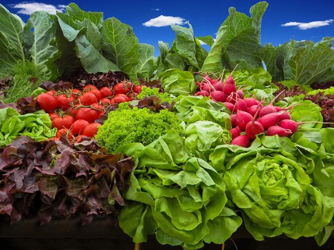 Verduras | PIXABAY/GELLINGER ep verduras