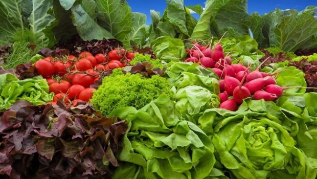 ep verduras
