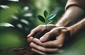 medioambient medioambient