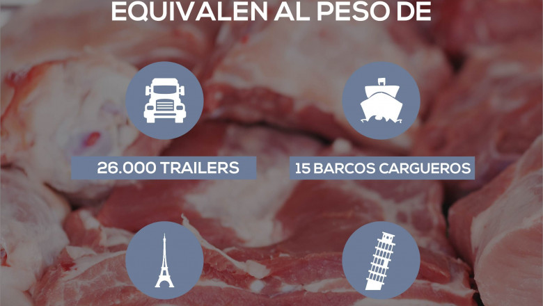 1588932007 toneladas 05