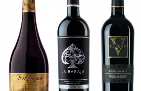 1631551871 botellas ok 