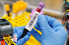 1635173391 captura de pantalla 2021 10 25 a les 164532